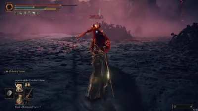 Crucible Knights share one brain cell