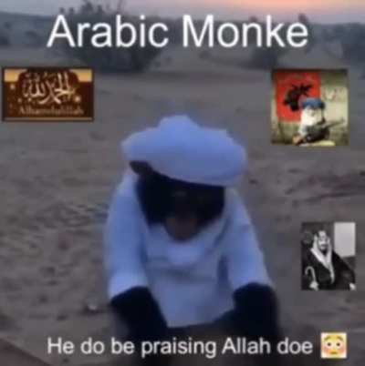 (Arabic Monke already posted) reposted with more fitting Monke music