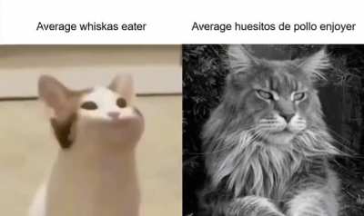 S&iacute;