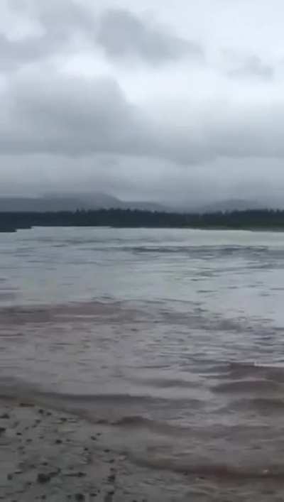 Главное вовремя дверцу открыть, чтобы воду слить