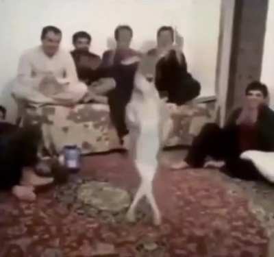 Blursed_deer