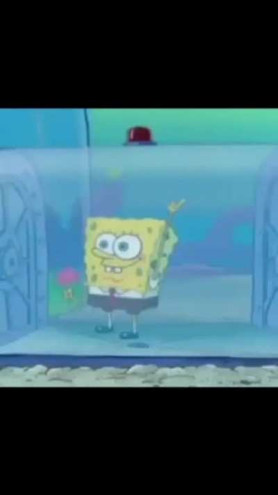 Spongebob caught in 4K 📷