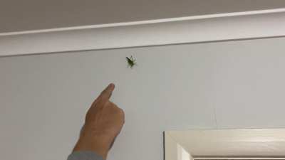 I had to touch it