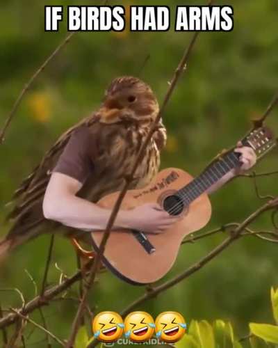 blursed bird arms