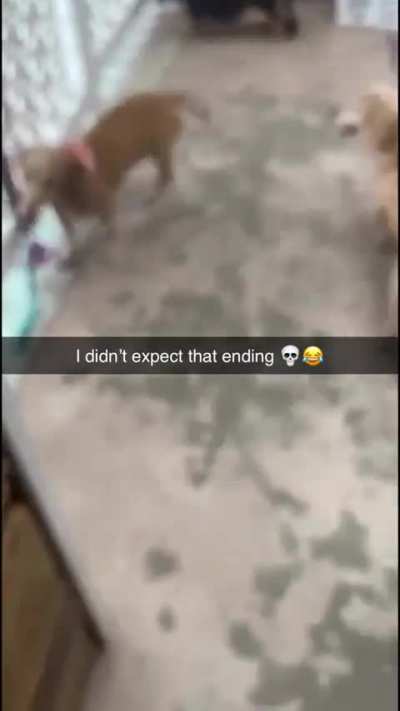 Imma be honest this one scared me a little bit at first..