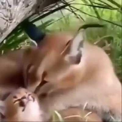 Lunes
