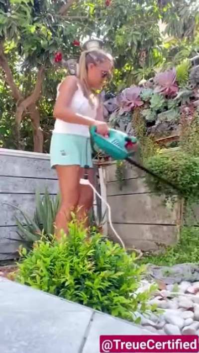 To trim the hedge