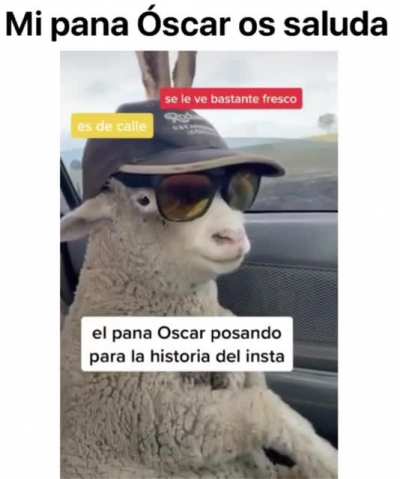 Le sobra calle al pana Oscar 😎😎