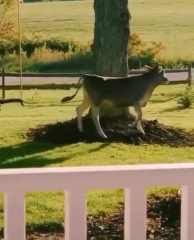 Hide and seek