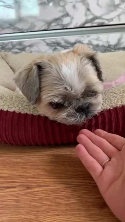 My Deaf and Blind Boy Realizing I&rsquo;m Home