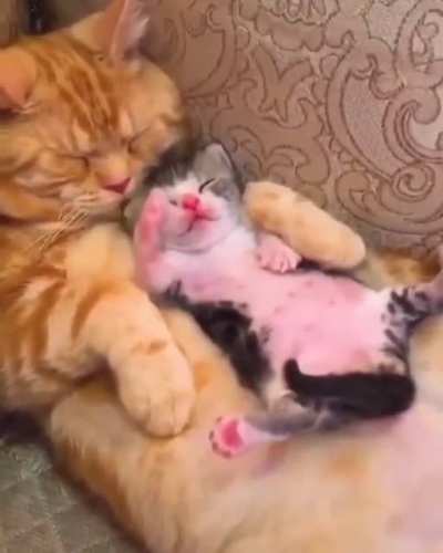 touch da mommy
