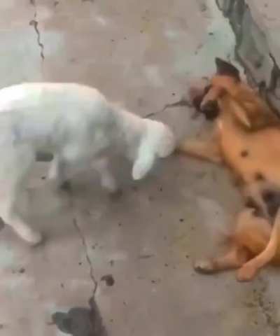Esse v&iacute;deo me quebra em todos os sentidos hahahaahaha