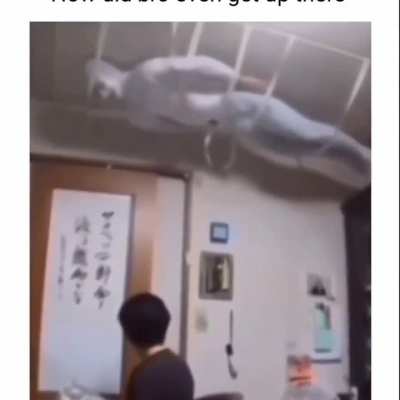 He's a part of the ceiling