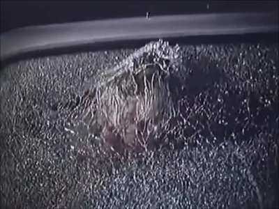 British Public Information films from the 1970&acirc;s and 1980&acirc;s were basically short horror films, shown between kids TV shows