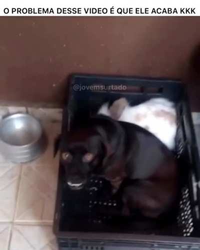 Dogrado