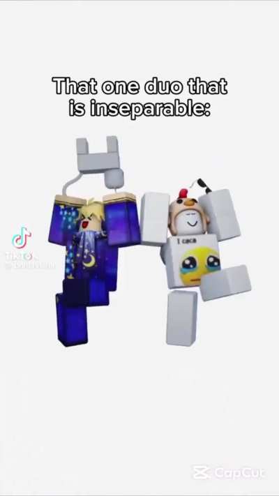 Inseparable huh?