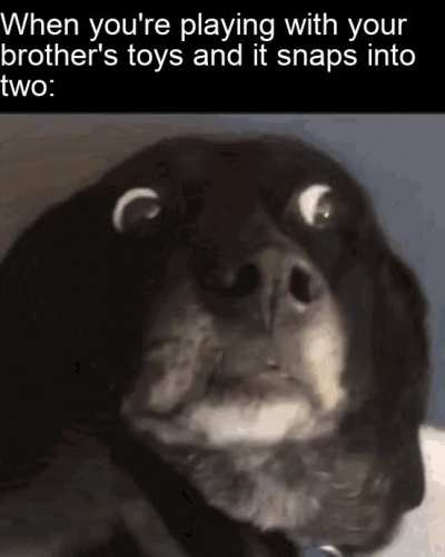 Chuckles...I'm in danger