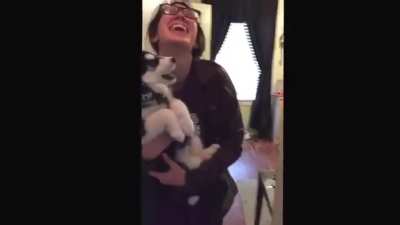 Huskie puppy doesn’t quite get the howling thing