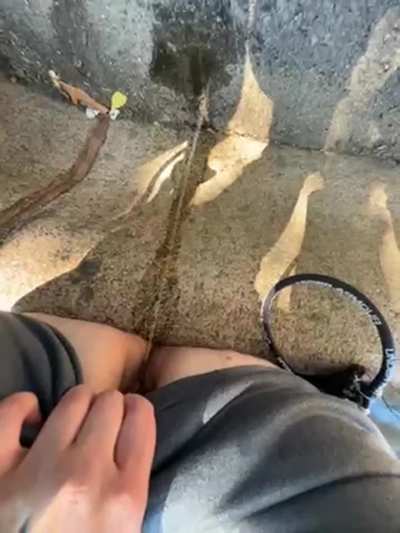 Pissing stop