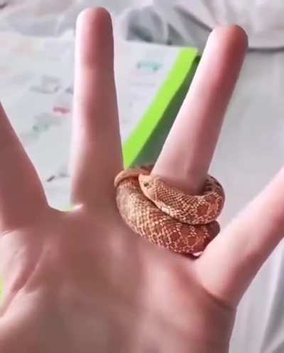 Look at this little guy