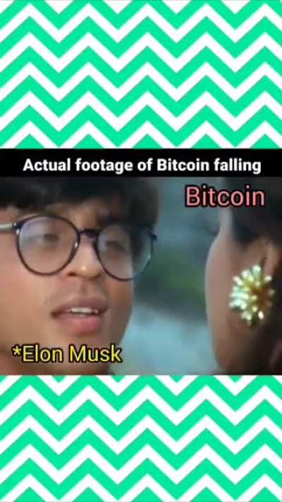 Elon Musk &amp;amp; Bitcoin Caught On Camera...