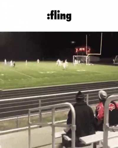:fling