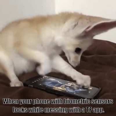 TF_IRL