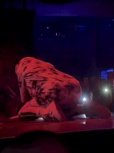 Booty View for Dublin Night 2
