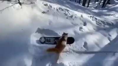 Talent