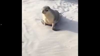 Here come dat boi