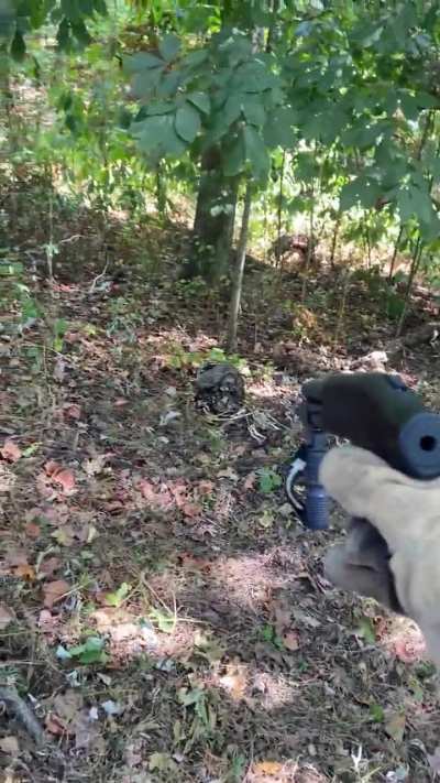 They can have a little buckshot