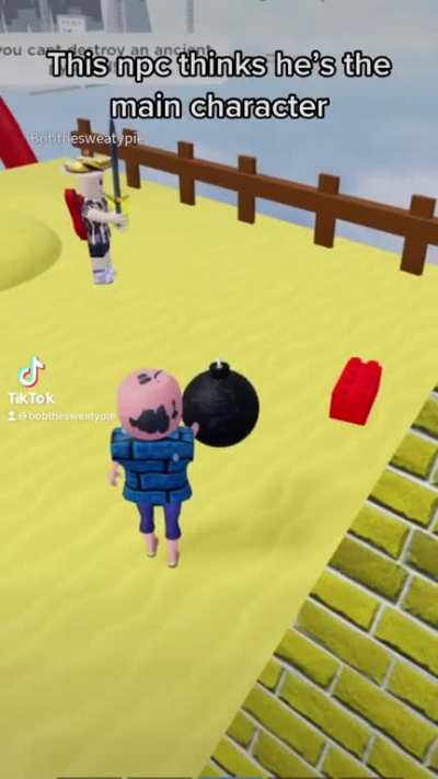 Silly npc 🤪🤪