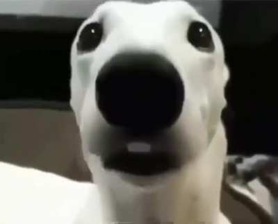 uh.