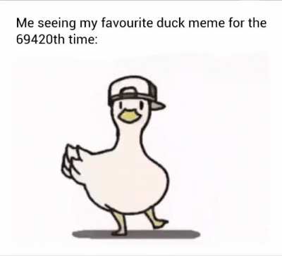 I really like ducks
