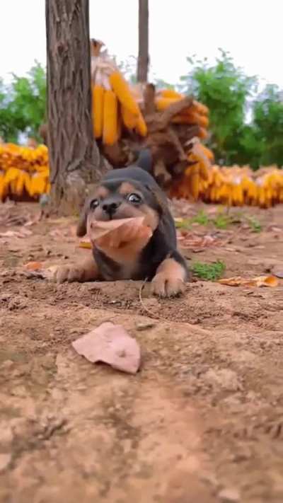 He is so cute!
