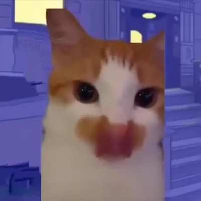 🍑wunkus😼
