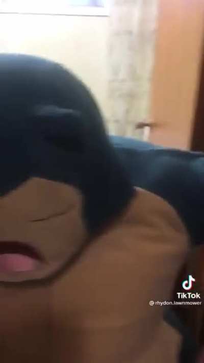 I have no words&hellip;. Only laughs