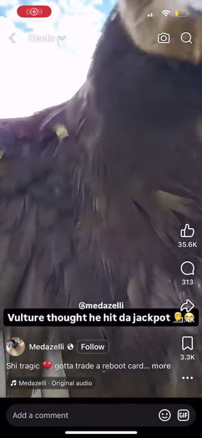 Government drone inspects sleeping subject