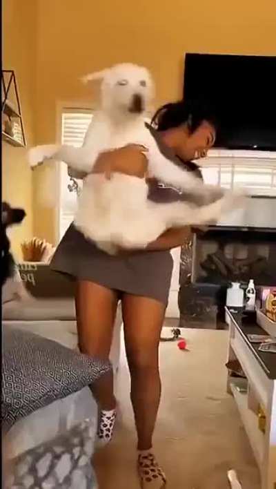 Let&rsquo;s dance