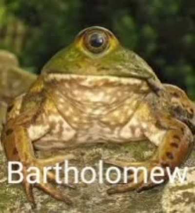 Bartholomew