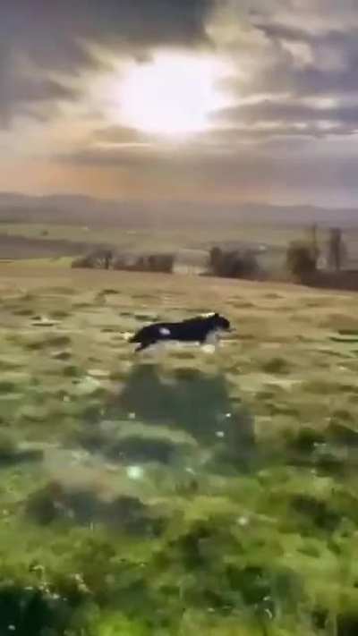 Feeling the speed