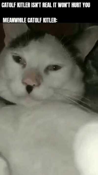 Catolf Kitler
