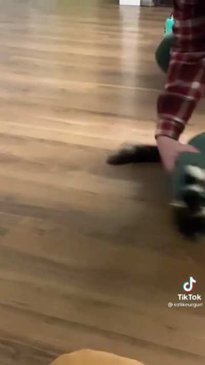 Spicy burrito