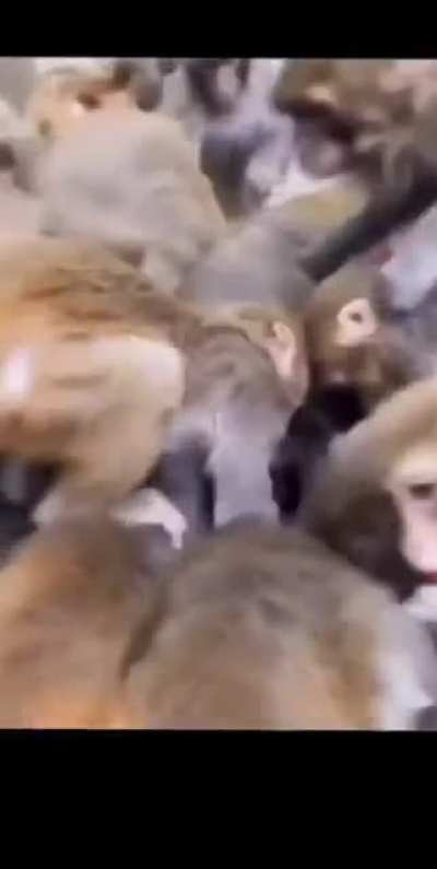 Tanıdık geldi mi?
