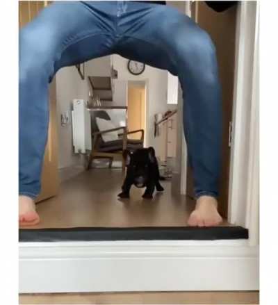 You can see the moment pup thinks "The BETRAYAL!"