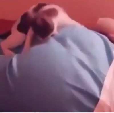 Bite