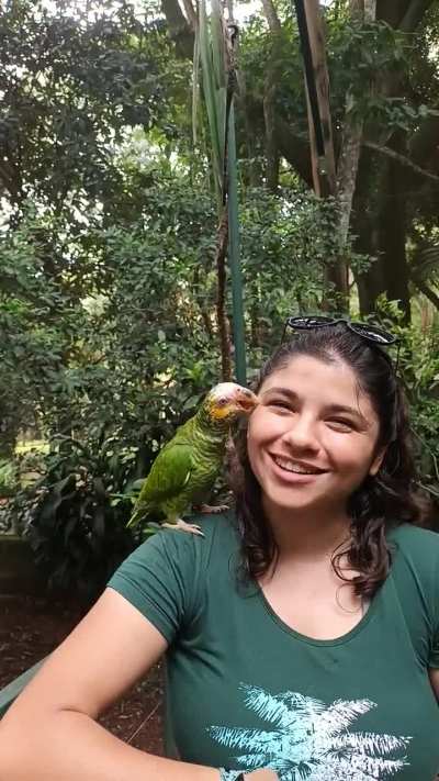 Invasive bird