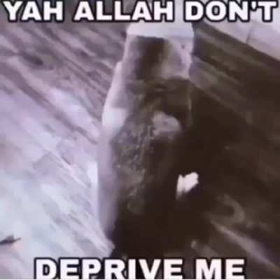 Allah sizinle olsun dostlar iyi geceler