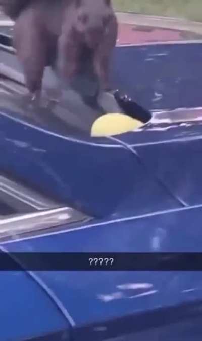 Posted by suggestion.