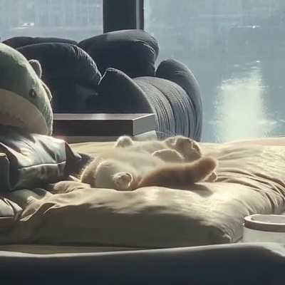 sweet dream